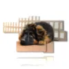 kleiner hund in bilder - version: 7 pannelli 180x106cm