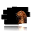 painting with photos of purebred dogs - version: 9 pannelli 171x108cm