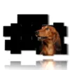 caja con fotos de perros de raza - version: 10 pannelli 176x115cm