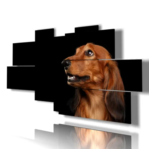 Print photos of breed dogs.