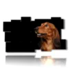 quadro con foto di cani di razza - version: 11 pannelli 184x104cm