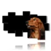 caja con fotos de perros de raza - version: 10 pannelli 186x115cm