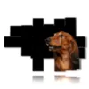 painting with photos of purebred dogs - version: 16 pannelli 221x149cm
