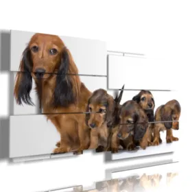 cuadro con foto de perros cachorros