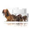 quadro con foto cani cuccioli - version: 11 pannelli 197x106cm
