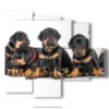 quadro con foto di cani cuccioli - version: 5 pannelli 104x90cm