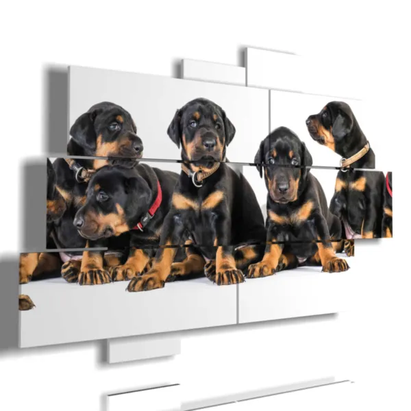 Bild mit Fotos von Welpenhunden