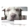 cuadro con imagenes de perros pequenos - version: 9 pannelli 177x101cm