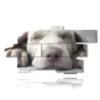 cuadro con imagenes de perros pequenos - version: 10 pannelli 212x111cm