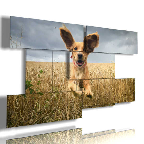 caja con fotos de perros lindos