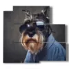tableau avec des images de chiens a lunettes - version: 5 pannelli 102x93cm