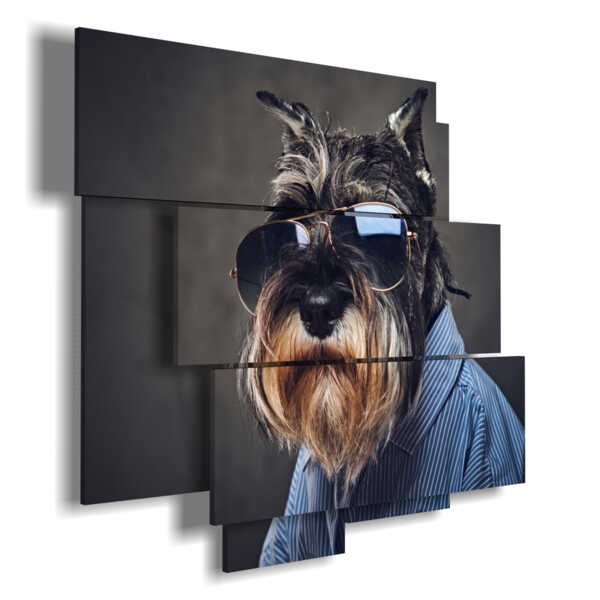 tableau avec des images de chiens à lunettes