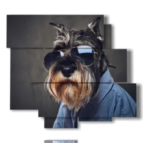 photo of dogs wearing glasses