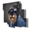 Dog poster with glasses