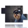 tableau avec des images de chiens a lunettes - version: 5 pannelli 128x85cm