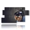 tableau avec des images de chiens a lunettes - version: 7 pannelli 157x90cm