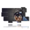 marco de fotos perros con gafas - version: 10 pannelli 190x110cm