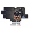 marco de fotos perros con gafas - version: 12 pannelli 206x119cm