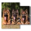 painting with photo dog with tongue out - version: 4 pannelli 91x85cm