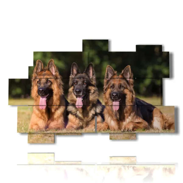 foto cane con lingua fuori