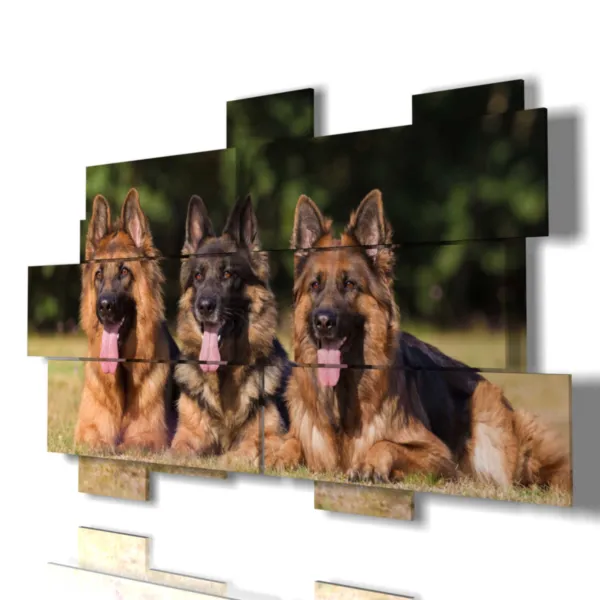 Hunde-Bilder mit herausgestreckter Zunge