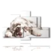 quadro con foto di cani bellissimi - version: 6 pannelli 135x85cm