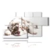 picture with pictures of beautiful dogs - version: 7 pannelli 157x90cm