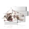 cuadro con imagenes de hermosos perros - version: 9 pannelli 171x108cm