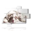 quadro con foto di cani bellissimi - version: 10 pannelli 173x114cm