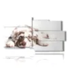 picture with pictures of beautiful dogs - version: 10 pannelli 183x100cm