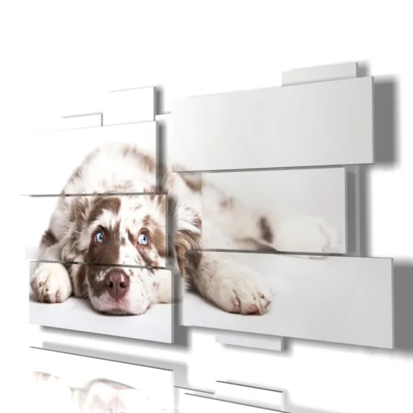 Impresiones de perros bonitos