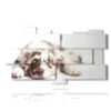 bild mit bildern von schoenen hunde - version: 11 pannelli 198x112cm