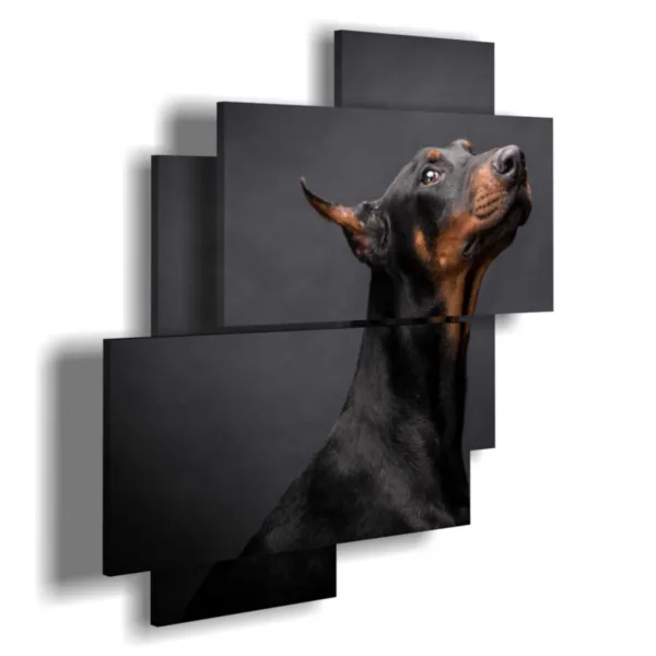 Cuadros, perros nobles y pensativos.