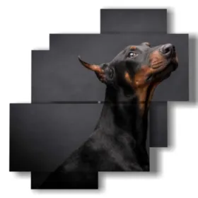 Gemälde edler Hunde