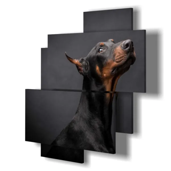 sacrificios de perros nobles