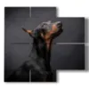 cuadros reflexivos perros nobles - version: 4 pannelli 91x85cm