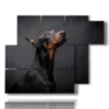 cuadros reflexivos perros nobles - version: 6 pannelli 122x96cm
