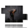 cuadros reflexivos perros nobles - version: 5 pannelli 128x85cm