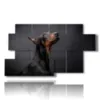 cuadros reflexivos perros nobles - version: 7 pannelli 157x90cm