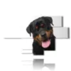 bild mit fotos von reinrassigen hunden - version: 7 pannelli 171x104cm