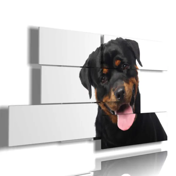 Cuadro con foto de perros de raza.