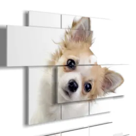 Cuadros con fotos de perros pequeños