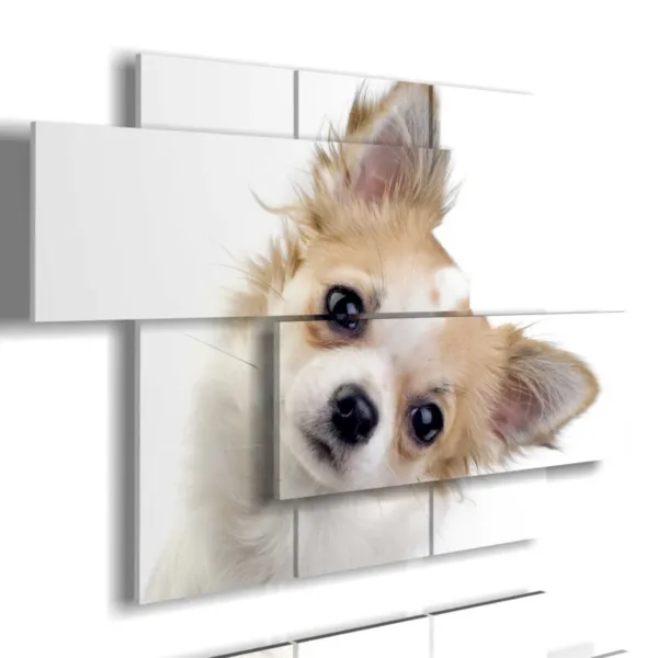 Pictures with small photos of dogs