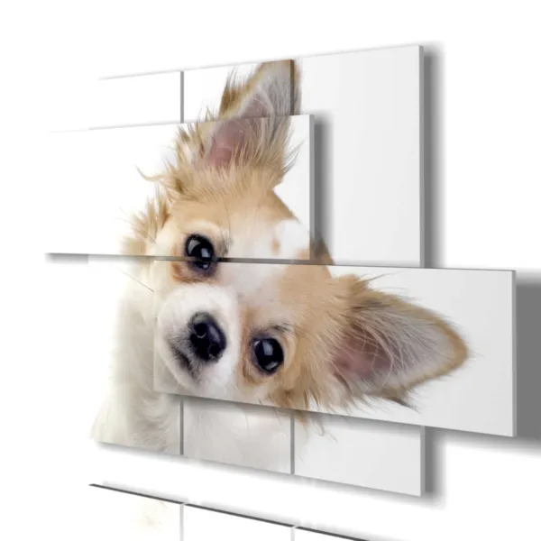 small dog photo prints