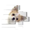 picture with photos of small dogs - version: 10 pannelli 171x124cm