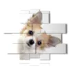 picture with photos of small dogs - version: 13 pannelli 186x152cm