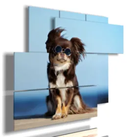 Fotos divertidas de perros y humanos