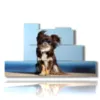 quadro con foto cani divertenti - version: 7 pannelli 171x101cm