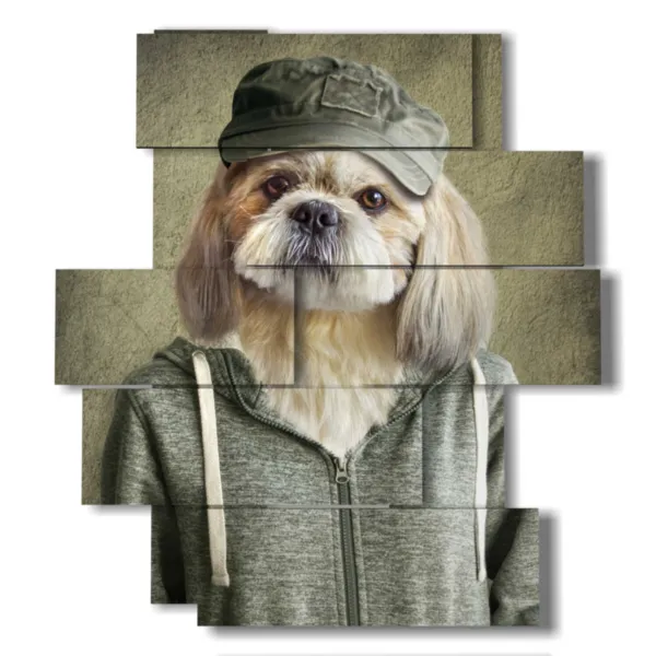 Cuadros, perros, ropa