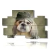 paintings dogs sports clothes - version: 10 pannelli 176x115cm